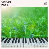 Download track Fleeting Moment