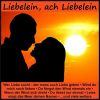 Download track Du Entschuldige I Kenn' Di'