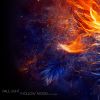 Download track Universe Of Illusions