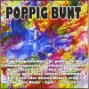 Download track Wir Tanzen Cha-Cha-Cha... Am Playa De Palma... (Radio Mix)