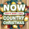 Download track All I Want For Christmas Is A Real Good Tan