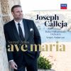 Download track Wagner- Rienzi, WWV 49, Act V - Allmächt Ger Vater, Blick Herab