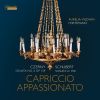 Download track Keyboard Sonata No. 6 In D Minor, Op. 124- VII. Finale (Allegro Con Fuoco)
