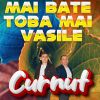 Download track Un Buchet De Trandafiri