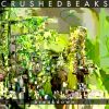 Download track Breakdown (Radio Edit)