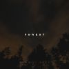 Download track Fly Around