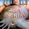 Download track The Soft Weed Factor