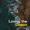 Download track Probative Ocean