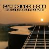 Download track Relajación De Guitarra Acústica