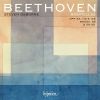 Download track 16.11 Bagatelles Op. 119 - 09 In A Minor: Vivace Moderato
