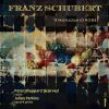 Download track Violin Sonata In D Major, Op. 137 No. 1, D. 384: II. Andante