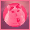 Download track Background For Friendly Cats