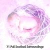 Download track Pure Lullaby