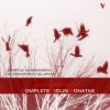 Download track Violin Snta In G Major, Op. 13: I. Moderato Con Moto