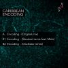 Download track Encoding