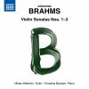 Download track Violin Sonata No. 3 In D Minor, Op. 108- I. Allegro
