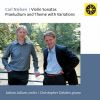 Download track Violin Sonata No. 1 In A Major, Op. 9, FS 20: III. Allegro Piacevole E Giovanile