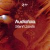 Download track Silent Words (Original Mix)