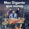Download track Amor Y Paz