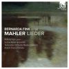 Download track Rückert-Lieder - Ich Bin Der Welt Abhanden Gekommen