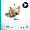 Download track Kammer