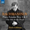 Download track 02. Rachmaninov Piano Sonata No. 1 In D Minor, Op. 28 II. Lento