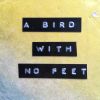 Download track Freedom For The Pike
