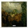 Download track String Quartet No. 1 In A Minor, Op. 60: I - Allegro Moderato