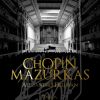 Download track Mazurka In D Major, Op. Posth., B. 31
