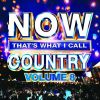Download track Ain’t Worth The Whiskey