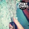 Download track Seashells