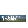 Download track Spring Bird Sounds