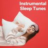 Download track All Night Sleeping Pieces, Pt. 5