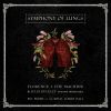 Download track I'm Not Calling You A Liar