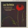 Download track Symphony G 490 In D Major - I. Allegro