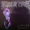 Download track Her Ghost In The Fog (Edit)
