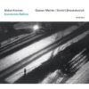 Download track 12. Shostakovich Symphony No. 14 Op. 135 - XI. Conclusion. Moderato