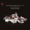 Download track Symphony No. 1 In D Major, D. 82: IV. Allegro Vivace
