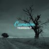 Download track Sentado En Un Refugio