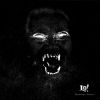 Download track Fallen Leaves