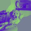 Download track Thrilling Moods For Dogs At Home Alone