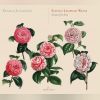 Download track Lute Suite In C Minor: VI. Menuet