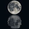 Download track Tranquil Tunes For Restful Dreams