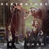 Download track Not Human