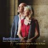 Download track Sonata No. 4 In C Major, Op. 102, No. 1 IV. Allegro Vivace