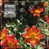 Download track Get It On Original Mix
