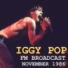 Download track Real Wild Child (Live)