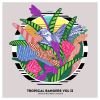 Download track Maracaxa De Oya (Dandara Edit)