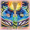 Download track Fast Flight Through The Asteroid Belt