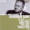Download track Symphony No. 3 In D Major - II. Allegretto